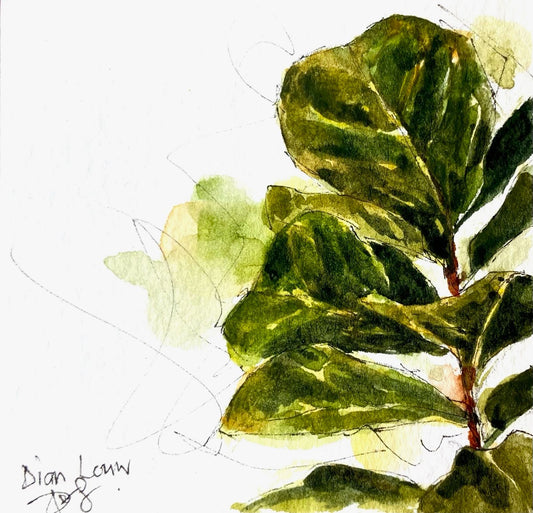Fiddle-leaf fig