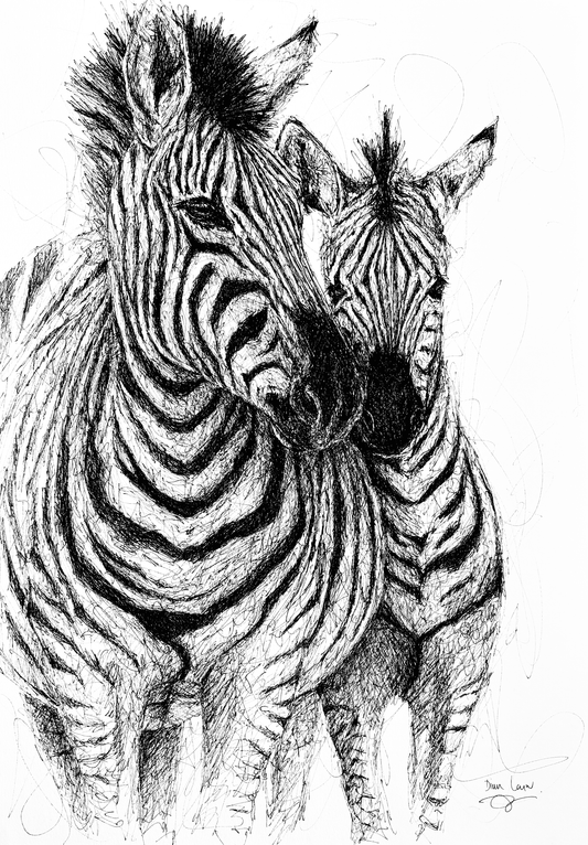 Bespoke Pen sketch (Two zebras) #2
