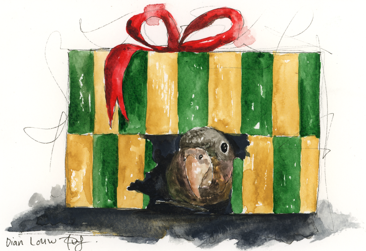 Christmas parrot
