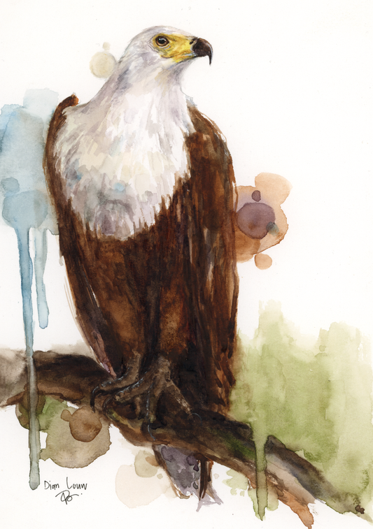 Fish Eagle #3