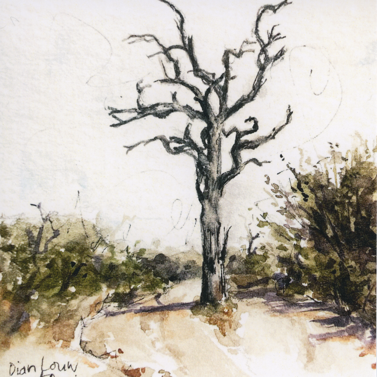 Branches